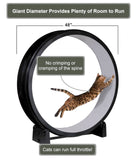 One Fast Cat - Cat Exercise Wheel - Gen. 7 - Safe 48" Diameter - Made in The USA - Black Wheel with Gray Felt Traction Pads and Solid Black Inline Wheels