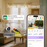 Freeseason Smart Bird Feeder with Camera & AI Bird Identifier, 2K HD Auto-Capture Video, Window Mounted with Strong Suction Cups, Unique Christmas Gift for Elderly Parents, Birding Lovers