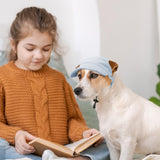 Dog Baseball Cap, Dog Cat Summer Beach Visor Hat with Ear Holes, Adjustable Puppy Sunbonnet Headdress (Blue, Large)