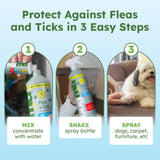 BugMD Flea and Tick Concentrate (3.7 oz, 2 Pack) – Essential Oil Formula for Dogs, Controls Fleas, Ticks & Mites, Safe for Pet Beds, Kennels & Home Use