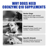 Just Try Coenzyme Q10 Heart Heathy Bites for Dogs - Advanced q10 & Taurine Supplement for Heart Health - Chicken Flavored Chews - Supports Heart Function-10.58oz