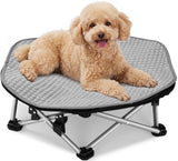 Dog lying on a gray pet bed with a white background