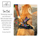 Lucky Love Dog, Bundle of Matching Harness Plus Leash for Easy Walk Training Comfort- Blackbird, Small