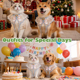 Leo Kitty Silky Pet Clothing for Small Cats & Small Dogs — Bunny Hand-Embroidered Outfit, Collar Costume, New Year Cat & Dog Outfit for Holiday Dress-Up