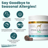 PetScy Itch & Allergy Plus Dog Allergy Chews for Itchy Skin, Ears & Paws