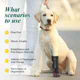 Strap-On Drop Foot Brace (No Knuckling Boot Brace) for Dogs— Corrective Dog Shoes to Safely Lift Toes for Foot Issues, Arthritis, and improving Walking gait in Dogs(XL)