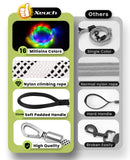 Light Up Dog Leash, LED Pet Leash for Night Walking,13 Lighting Modes, Rechargeable Dog Lights, Glow in The Dark Walking Leashes with Tangle-Free Hook for Medium Large Dogs - 4 Ft