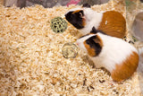 QHZHANG 24PCS Hamster Chew Toys Set, Natural Small Animal Teeth Grinding Molar Toys with Apple Wood Sticks Sweet Bamboo Grass Balls Pine Cones for Rabbit Chinchilla Guinea Pig Squirrel Gerbil
