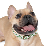 Lucky Clover Dog Collar — St. Patrick’s Day Green Shamrock Pet Collar