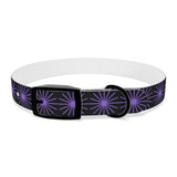Black and purple star dog collar
