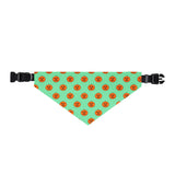Pet Bandana Collar green and orange pumpkin