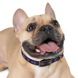 Purple Star Dog Collar — Adjustable Pet Collar with Star Pattern