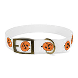 Dog Collar