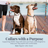 Lucky Love Blackbird Dog Martingale Collar & Leash Set - Premium Martingale Collar & Beautiful Vivid Patterns Leash (Large)