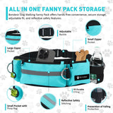 Waist Leash for Double Dog Walking 2 Small, Medium and Large Dogs; Shock-Absorbing, No Pull, No Tangle, Heavy Duty, Hands-Free Double Bungee 2 Dog Leash; Hiking, Walking, Running Gear with Accessories