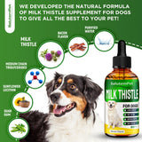 Milk Thistle for Dogs | Dog Liver Supplement for All Ages and Breeds | Here is Only Herbal Composition | + Attractive and Super Yummy Bacon Flavor | 2 Oz
