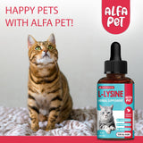 L Lysine for Cats with Taurine & Probiotic – A and B Vitamins Help with Watery Eyes, Sneezing, Cough, Allergies – Feline Upper Respiratory Supplement Works as a Natural Antibiotic for Cats – 2 Oz