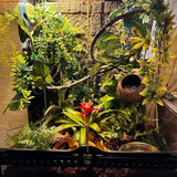 MUYG Crested Gecko Tank Accessories,Gecko Coconut Hut Hideout with Ladder Reptile Hammock Lizards Hanging Plants Flexible Climbing Jungle Vine Leaves Terrarium Decor