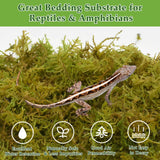 Halatool 9OZ Natural Sphagnum Moss for Reptiles- 14QT Green Moss for Terrarium Plants Long Fiber Reptile Moss for Leopard Gecko Snake Hamsters Tortoises Frogs Lizards Salamanders
