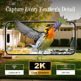 Freeseason Smart Bird Feeder with Camera & AI Bird Identifier, 2K HD Auto-Capture Video, Window Mounted with Strong Suction Cups, Unique Christmas Gift for Elderly Parents, Birding Lovers