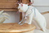 Leo Kitty Silky Pet Clothing for Small Cats & Small Dogs — Bunny Hand-Embroidered Outfit, Collar Costume, New Year Cat & Dog Outfit for Holiday Dress-Up