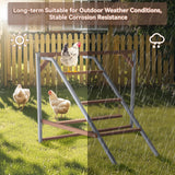 PETSFIT Chicken Perch, Solid Wood & Rustproof Iron Roosting Bar with Swing