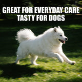 Just Try Coenzyme Q10 Heart Heathy Bites for Dogs - Advanced q10 & Taurine Supplement for Heart Health - Chicken Flavored Chews - Supports Heart Function-10.58oz
