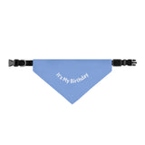 Pet Bandana Collar