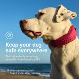 Halo Collar 4 Wireless Dog Fence & GPS Dog Collar, Keep Your Dog Safely Contained Outdoors with App-Controlled Boundaries and Real-Time Tracking, One Size, Graphite