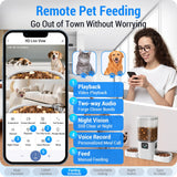Frienhund Dual Automatic Cat Feeder with Camera for 2 Cats: 5G WiFi Automatic Dog Feeder with Night Vision, 7L Auto Cat Food Dispenser with Two Camera for Multiple Pet, Easy to Clean-29 Cup(ACF180W-A)