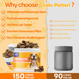 Probiotics for Dogs - 6 Digestive Probiotics & 6 Enzymes for Itchy Skin,Digestion & Gut Support,Helps Diarrhea, Yeast Infection, Upset Stomach,Allergies & Immune System Support-150 Chews