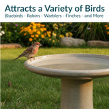 Sunnydaze 21" H Ceramic Bird Bath for Outside - Hand-Painted Outdoor Bird Bath Bowl, UV/Frost-Resistant Finish - Yam