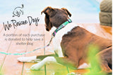Lucky Love Dog Bundle - Small No Pull Dog Harness & Adjustable Collar, in Stylish Laguna Pattern, Durable & Comfortable for Pet Dogs, Suitable for Puppies & Adult Dogs