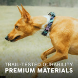 Embark Adventure Medium Dog Collar – Stylish, Durable Nylon, Adjustable & Comfortable, Strong Buckle