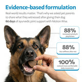 Ayourpets Hip and Joint Supplement for Dogs with Stiff Joints, Arthritis & Mobility – Natural Boswellia, Ashwagandha & Turmeric Ayurvedic Herbal Support – Pork Flavor – 90 Count