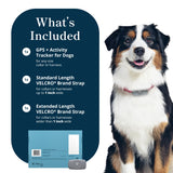 Petivity Smart GPS and Activity Pet Tracker for Dogs Powered by Purina, Waterproof Real Time Tracking GPS Dog Collar, Downloadable App, Subscription Required
