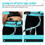 Waist Leash for Double Dog Walking 2 Small, Medium and Large Dogs; Shock-Absorbing, No Pull, No Tangle, Heavy Duty, Hands-Free Double Bungee 2 Dog Leash; Hiking, Walking, Running Gear with Accessories