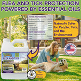 Trifecta Flea and Tick Yard Spray Concentrate | 16 oz