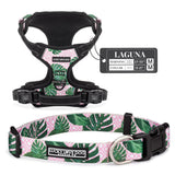 Lucky Love Dog Bundle - Medium No Pull Dog Harness & Adjustable Collar, in Stylish Laguna Pattern, Durable & Comfortable for Pet Dogs, Suitable for Puppies & Adult Dogs