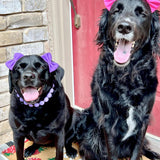 mqajdv Dog Hair Double Bow Headbands 3 Pcs – Bow Headband for Dogs, Dog Hair Bow,Classic Dog Hair Bows, Adjustable Headband, Puppy Bow, Pet Hair Bow, Dog Grooming Accessory