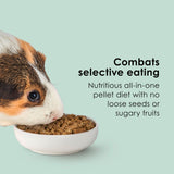 Kaytee Timothy Complete Guinea Pig Food, Made with Timothy Hay, High in Fiber, Supports Dental Health and Digestion, Long-lasting Vitamin C, 9.5 pounds