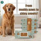 ECO SOUL Pet Cleaning Wipes, (2 Pack, 100 Count Each, Unscented)