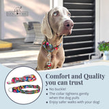Lucky Love Blackbird Dog Martingale Collar & Leash Set - Premium Martingale Collar & Beautiful Vivid Patterns Leash (Large)