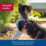 Coastal - Li’l Pals Adjustable Kitten Harness and Leash Combo - Pink and Purple Daisy Multi-Color - 3/8” x 6"-10”