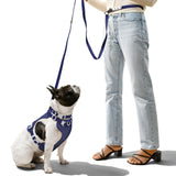 The LICKER Store WLK1004J-5SET Luna Small 8FT Adjustable 6-in-1 Waterproof Hands-Free Leash and Collar with LED Flashlight, Bag Dispenser, and Poop Bag Holder, Highball