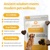 Ayourpets Dog Allergy Chews for Itchy Skin, Hot Spots, Paw Licking & Itchy Ears – Ayurvedic Herbal Omega-3 Anti Itch Support with Turmeric & Shatavari – Fish Flavor – 90 Count