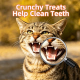 Just Try 16 OZ Cat Treats Urinary Tract Bites - Cranberry & D Mannose Formula for Bladder Health - Chicken Flavored Prevent UTI & Promote Urinary Comfort