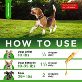 Natural Antibiotics for Dogs and Puppies | Antibiotics for Dogs of All Ages | Herbal Ingredients | Helps with Allergies and UTIs | for Balanced Digestion | Joint Care | Bacon Taste | 2 Oz