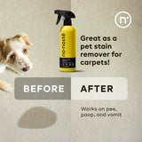 Nonaste Pet Stain & Odor Eliminator Spray (16 Oz, Pack of 1) – Enzyme Cleaner Spray for Dogs & Cat Messes, Works on Carpets & Upholstery | Pet & Kid Safe, Urine Odor Stain Remover, Light Fresh Scent