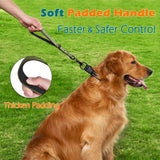 PetBonus Heavy Duty Short Dog Leash, 12" Nylon Lead with Quick Release Clip
